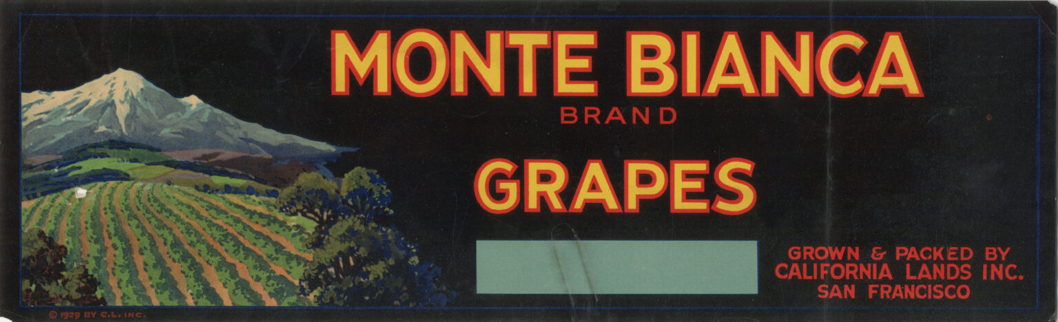 Monte Bianca Monte Bianca